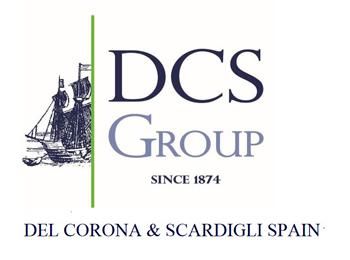 DCS Group
