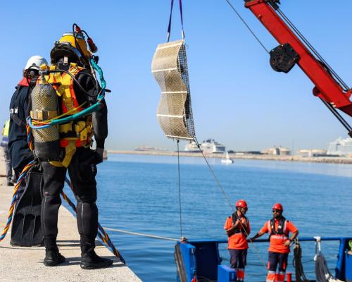 Operativa de instalación de una Life Boosting Unit del programa RegenPorts.