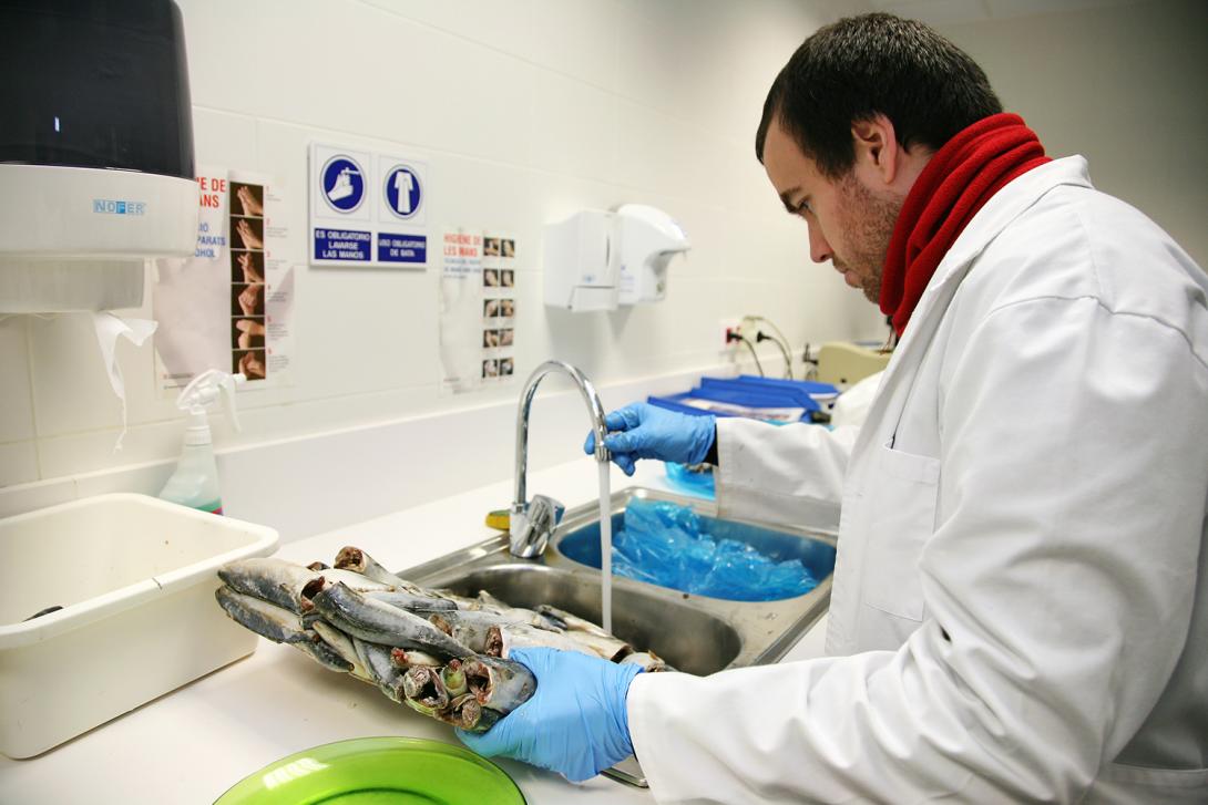 Control de productos de origen animal 3