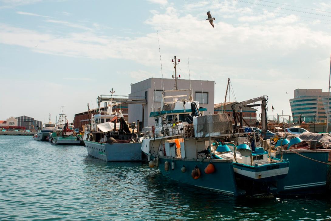 La relació entre ports i oceans és fonamental per comprendre com els recursos marins i costaners poden impulsar el desenvolupament econòmic sostenible.